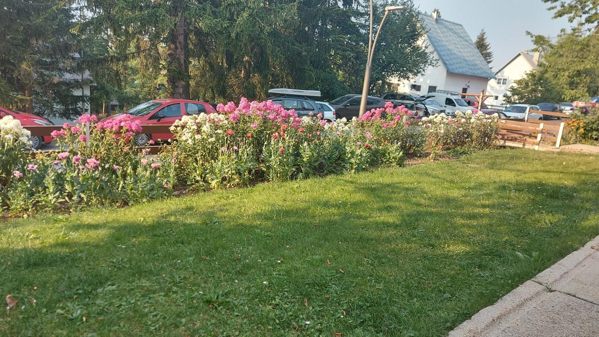 Guest House Milena Žabljak Cameră foto