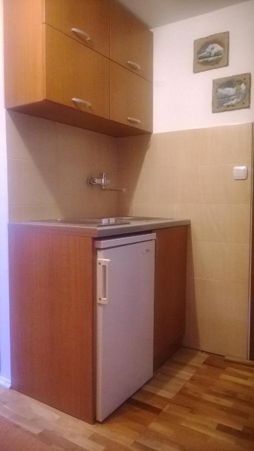 Guest House Milena Žabljak Cameră foto